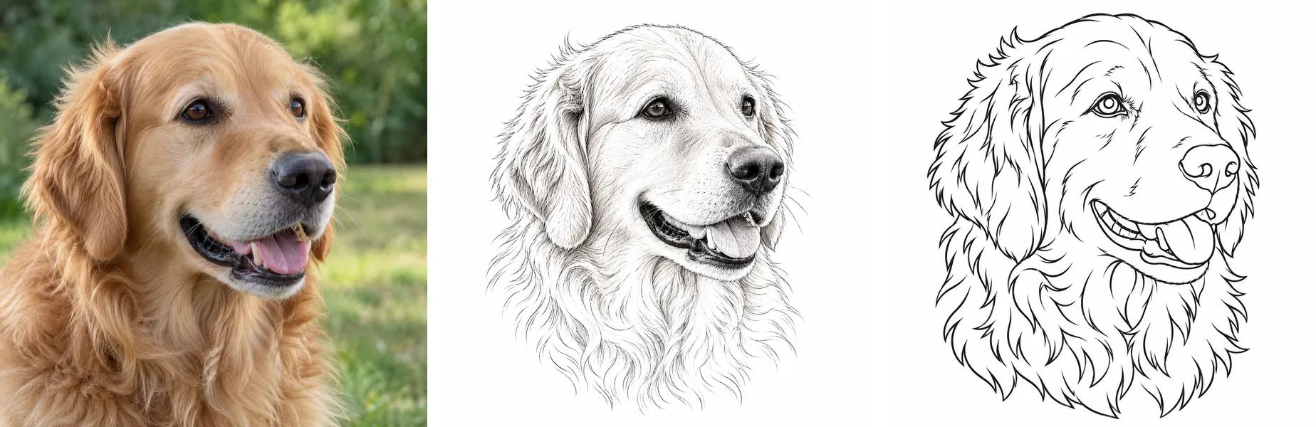 A golden retriever photo turned into a fine-line tattoo design and then a black-and-white stencil